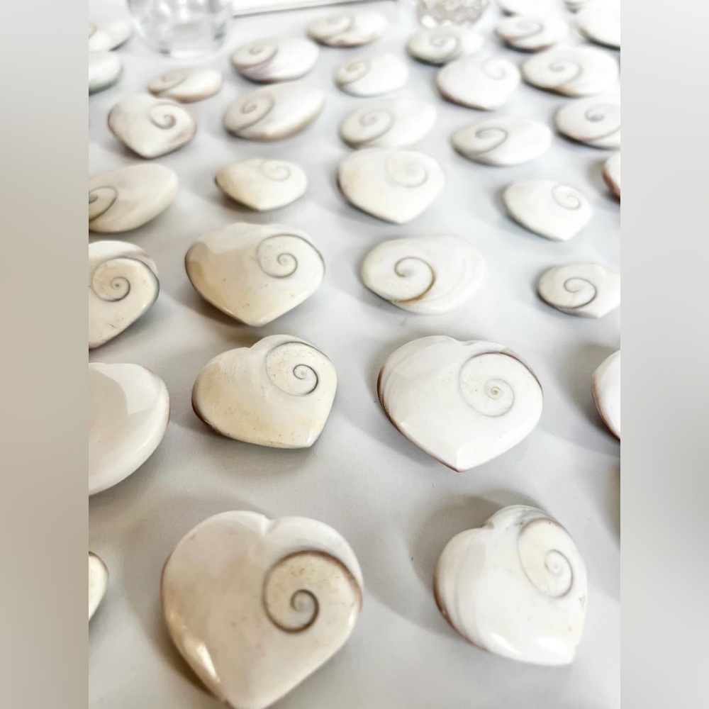One Shiva Heart Shell Pastel - Picture 8 of 9